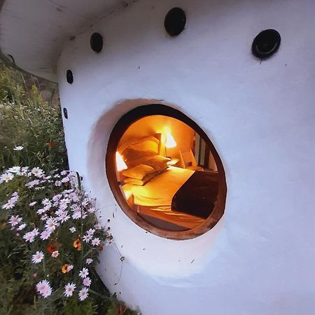 Half Moon Hollow Eco Cottage モーセル・ベイ エクステリア 写真