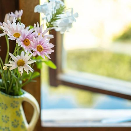 Half Moon Hollow Eco Cottage モーセル・ベイ エクステリア 写真