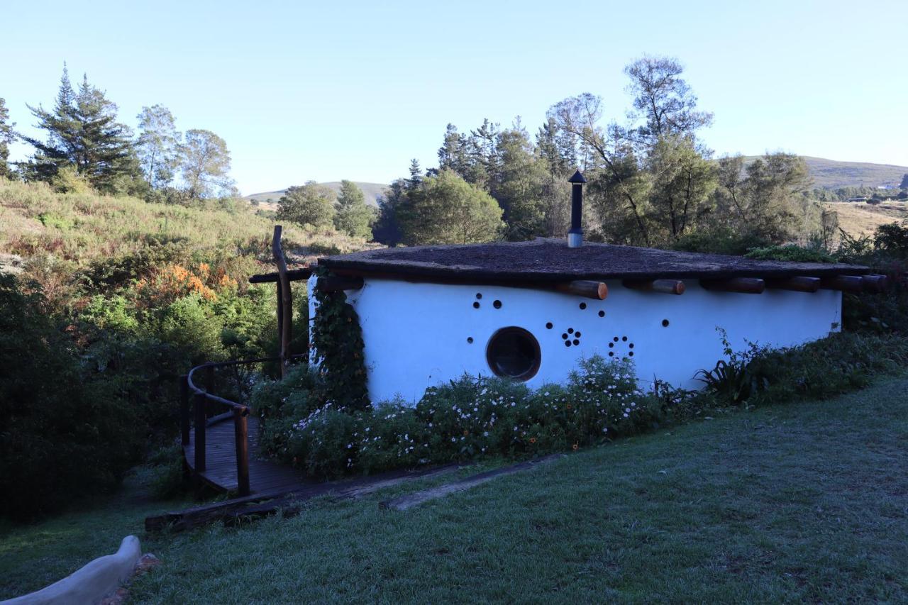 Half Moon Hollow Eco Cottage モーセル・ベイ エクステリア 写真