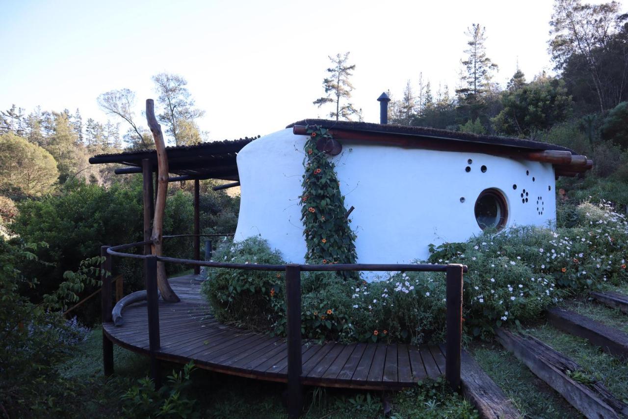 Half Moon Hollow Eco Cottage モーセル・ベイ エクステリア 写真