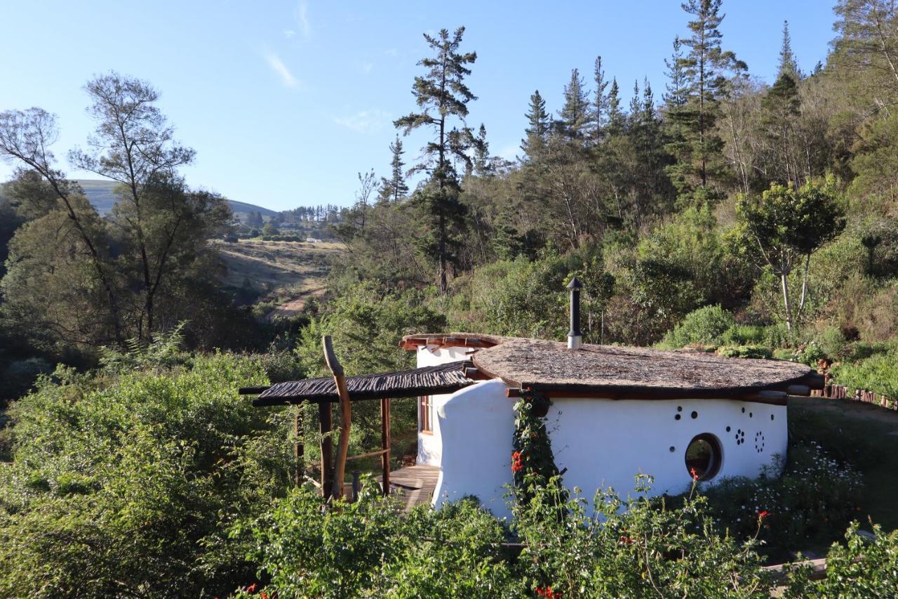 Half Moon Hollow Eco Cottage モーセル・ベイ エクステリア 写真