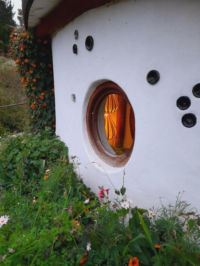 Half Moon Hollow Eco Cottage モーセル・ベイ エクステリア 写真